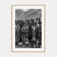 Swan Lake Photo B&W No 1 Poster