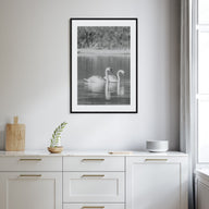 Swan Lake Photo B&W No 2 Poster
