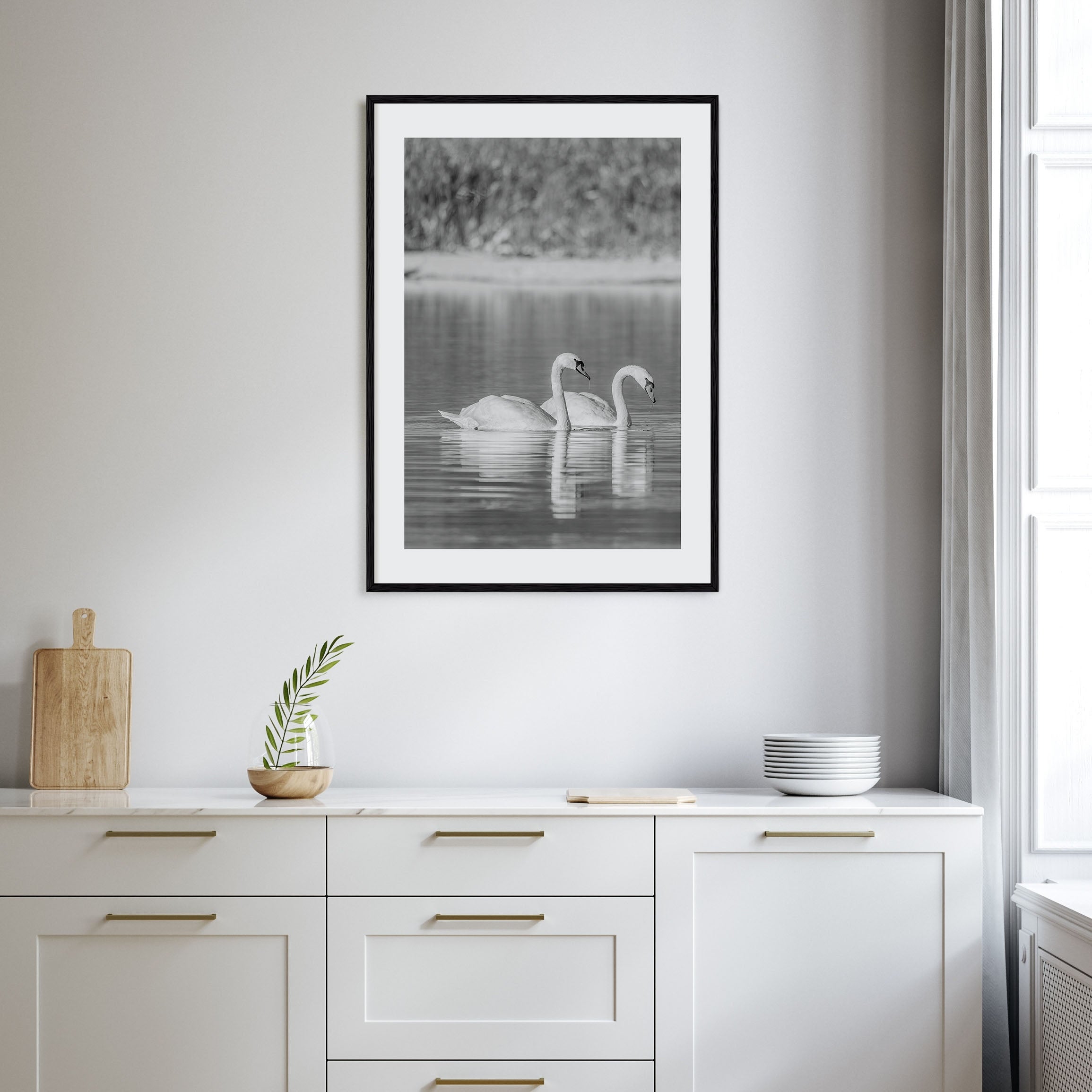 Swan Lake Photo B&W No 2 Poster