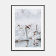 Swan Lake Photo Color Poster