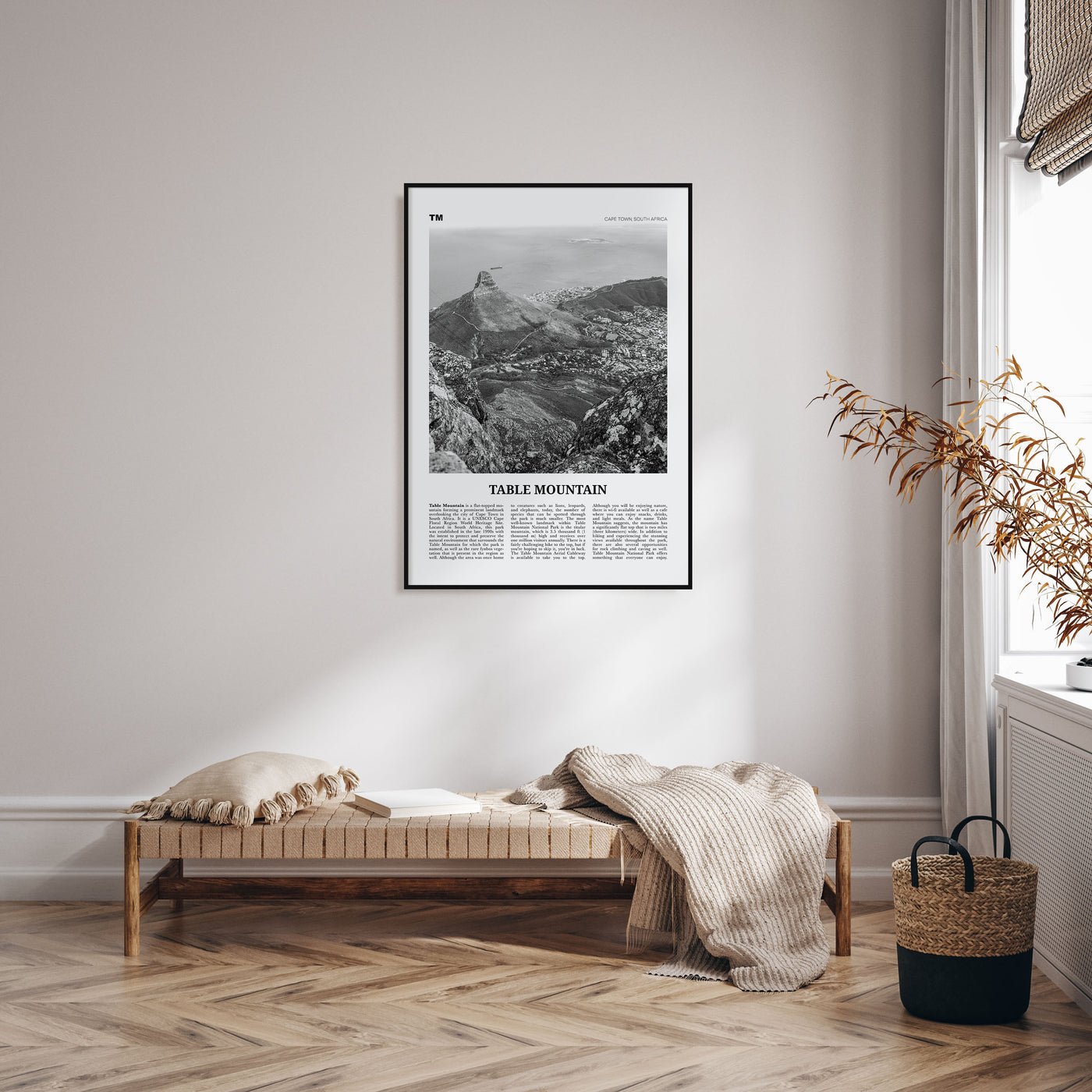 Table Mountain Travel B&W Poster