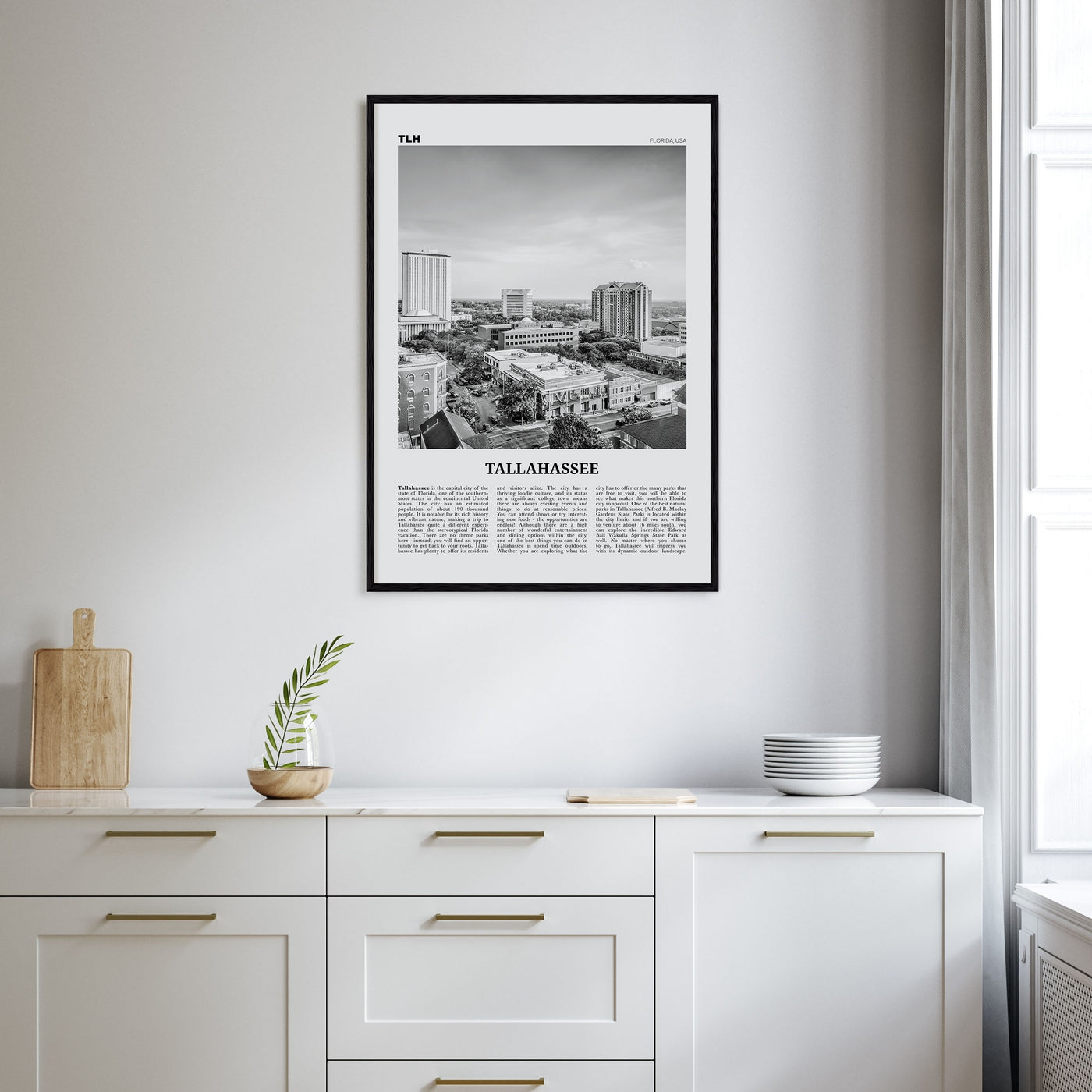 Tallahassee Travel B&W Poster