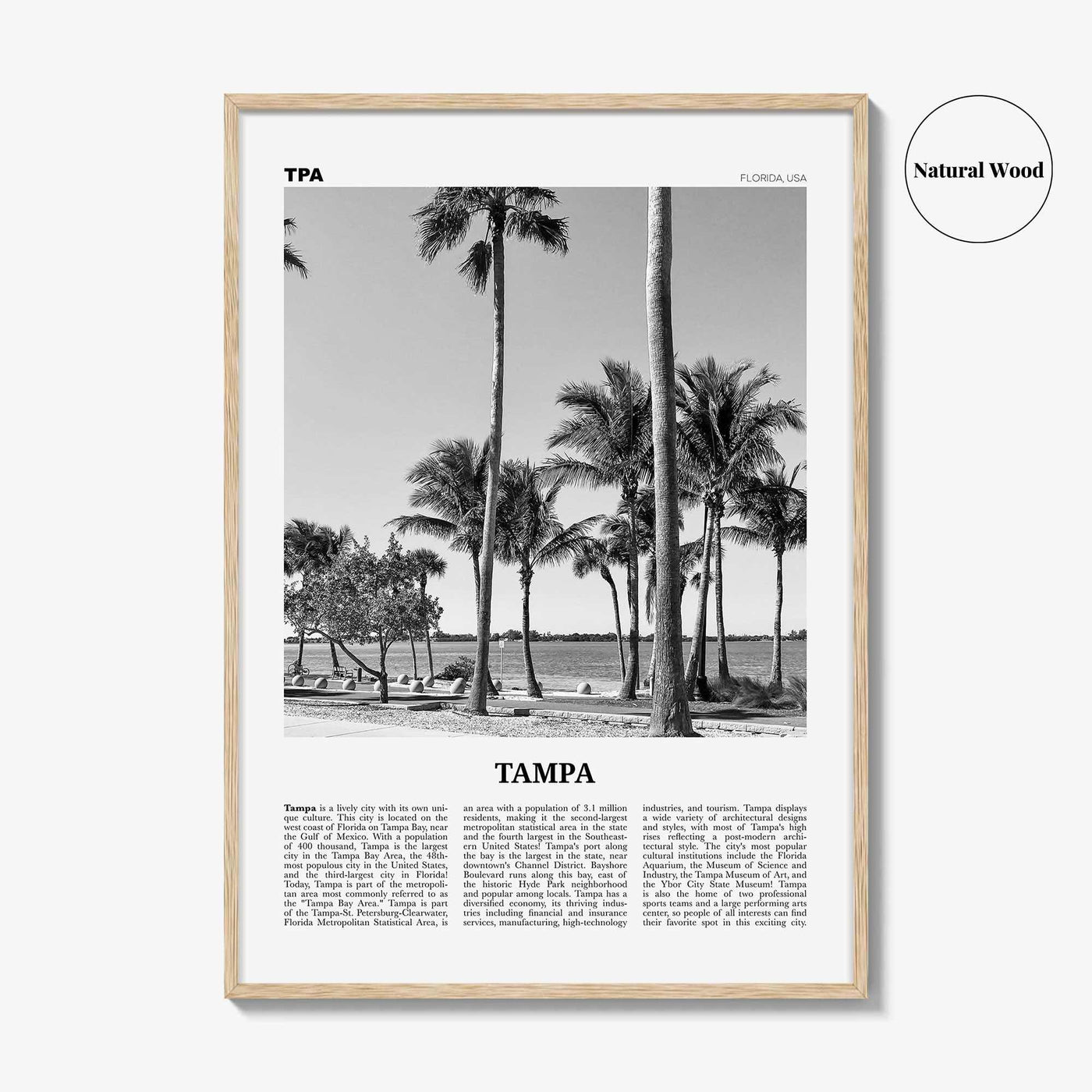 Tampa Print Black and White No 3, Tampa Wall Art, Tampa Poster, Tampa Photo, Tampa Wall Decor, Florida, USA, United States