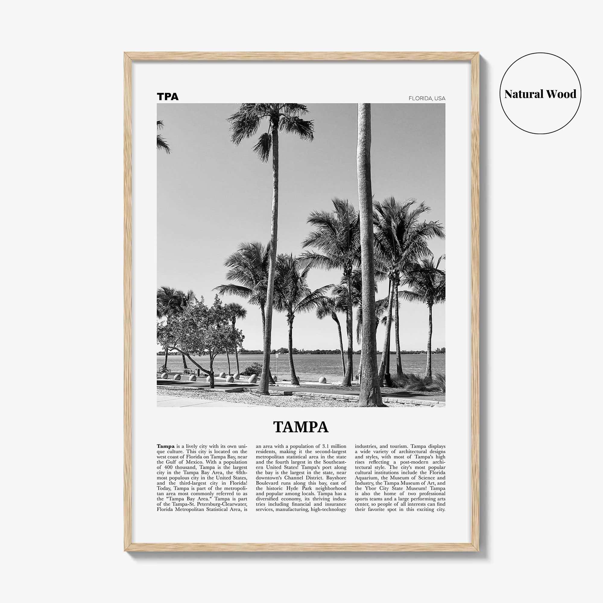 Tampa Print Black and White No 3, Tampa Wall Art, Tampa Poster, Tampa Photo, Tampa Wall Decor, Florida, USA, United States