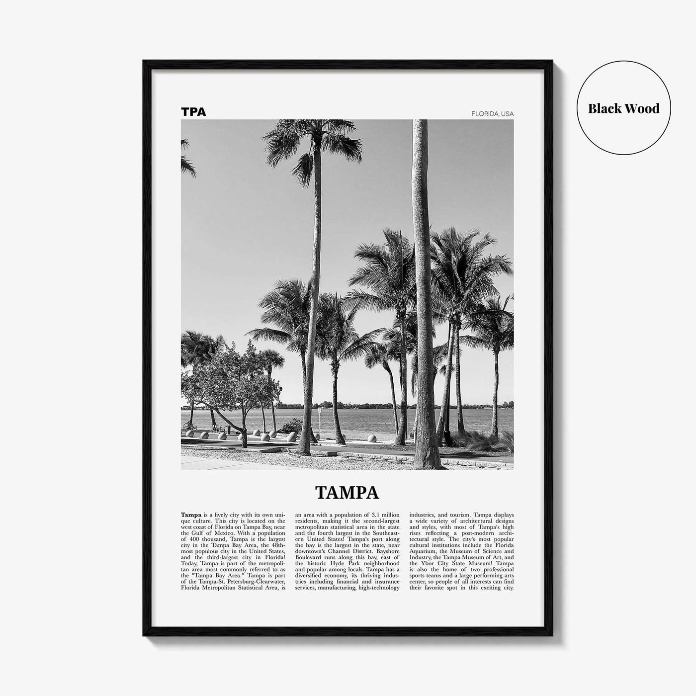 Tampa Print Black and White No 3, Tampa Wall Art, Tampa Poster, Tampa Photo, Tampa Wall Decor, Florida, USA, United States