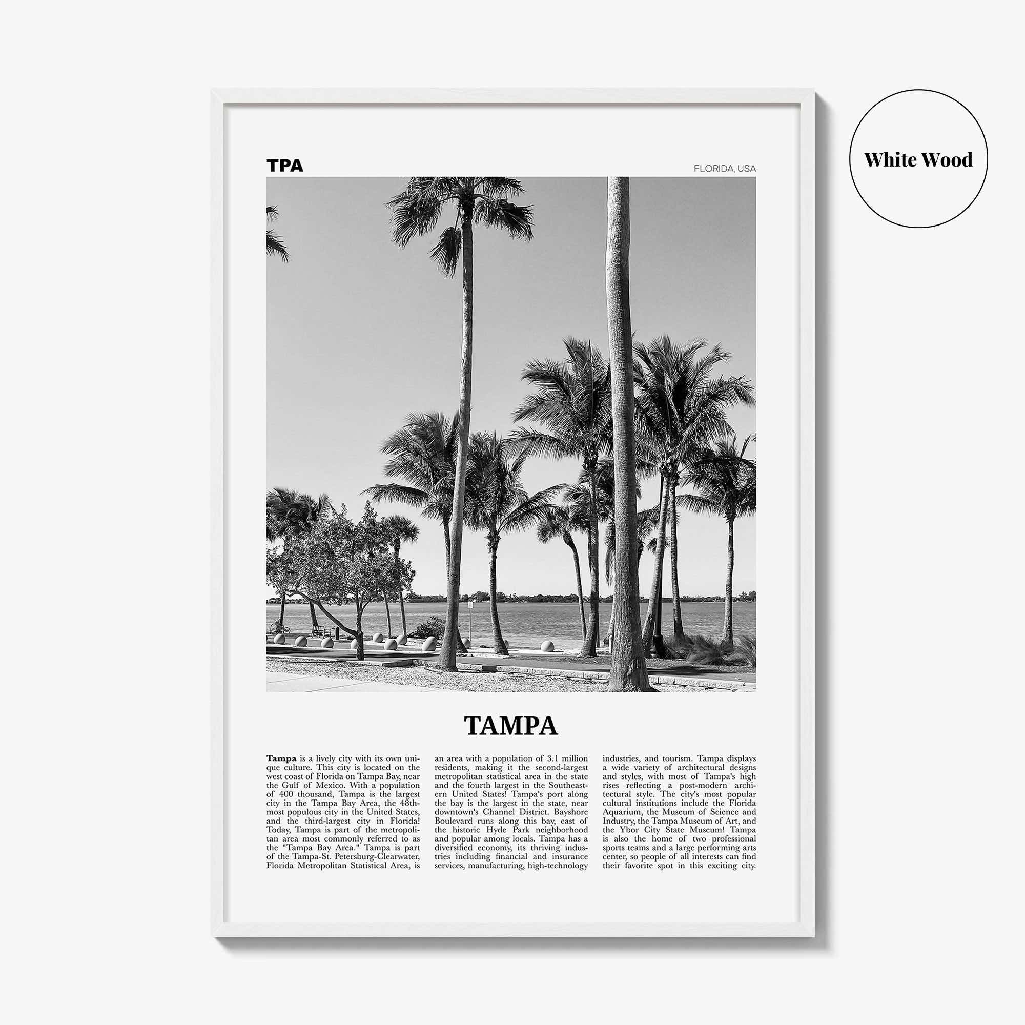 Tampa Print Black and White No 3, Tampa Wall Art, Tampa Poster, Tampa Photo, Tampa Wall Decor, Florida, USA, United States