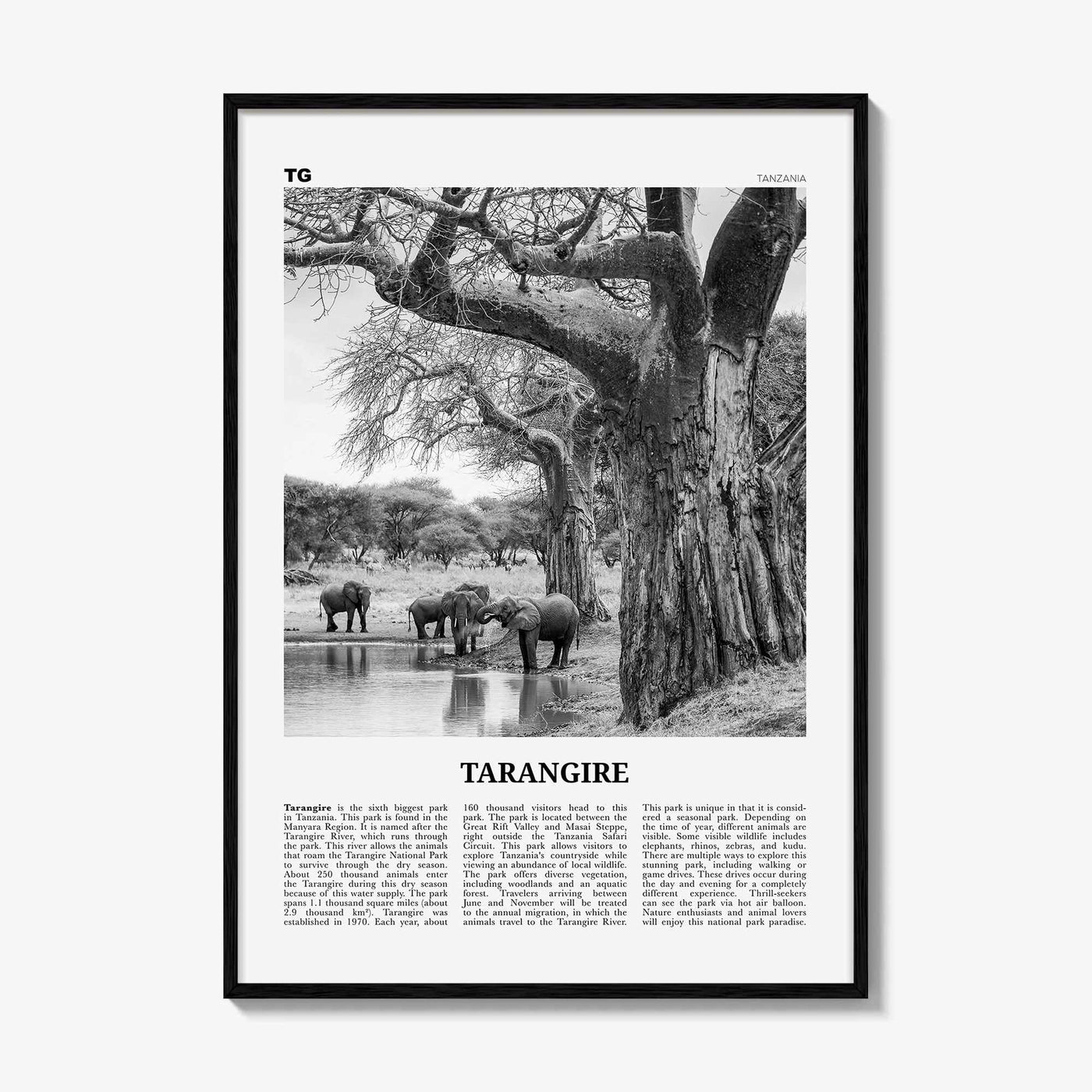 Tarangire National Park Print Black and White, Tarangire Wall Art, Tarangire Poster, Tarangire Photo, Tarangire Wall Décor, Tanzania