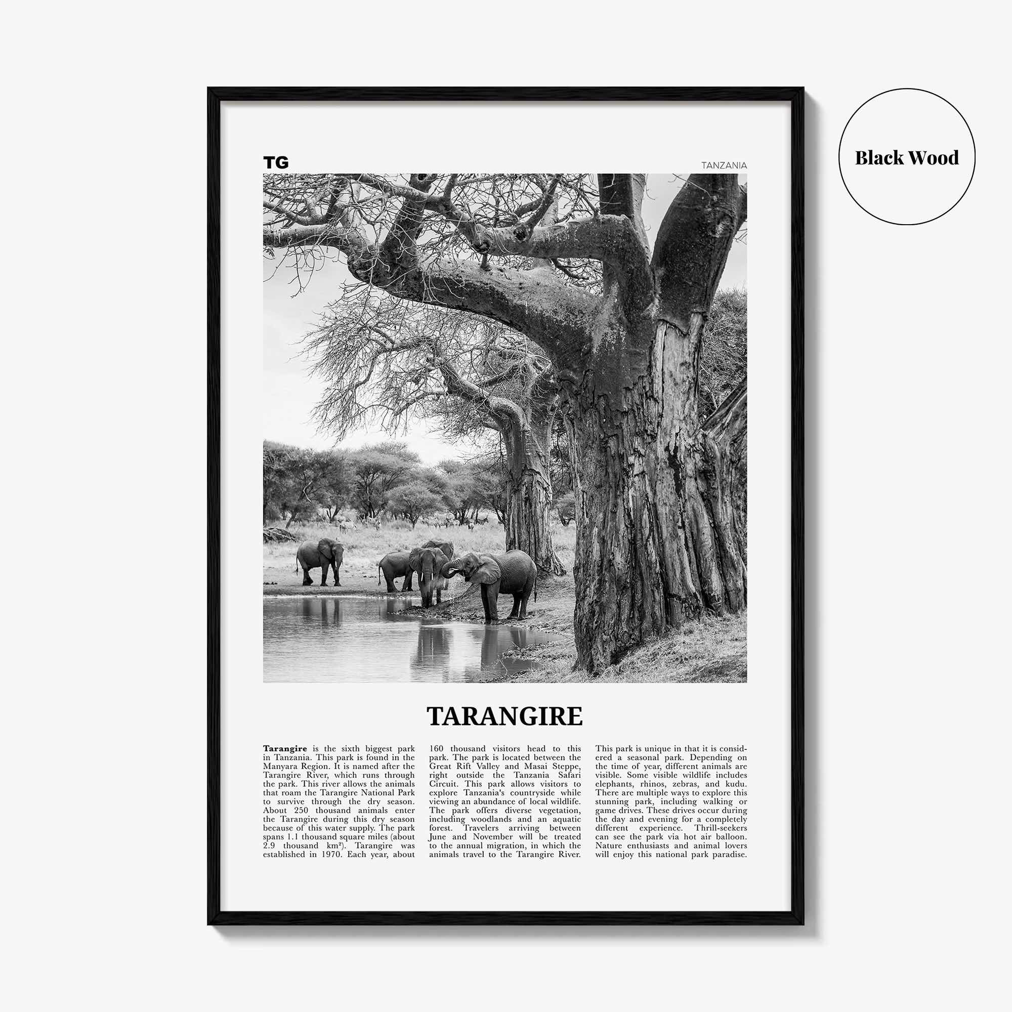 Tarangire National Park Print Black and White, Tarangire Wall Art, Tarangire Poster, Tarangire Photo, Tarangire Wall Décor, Tanzania