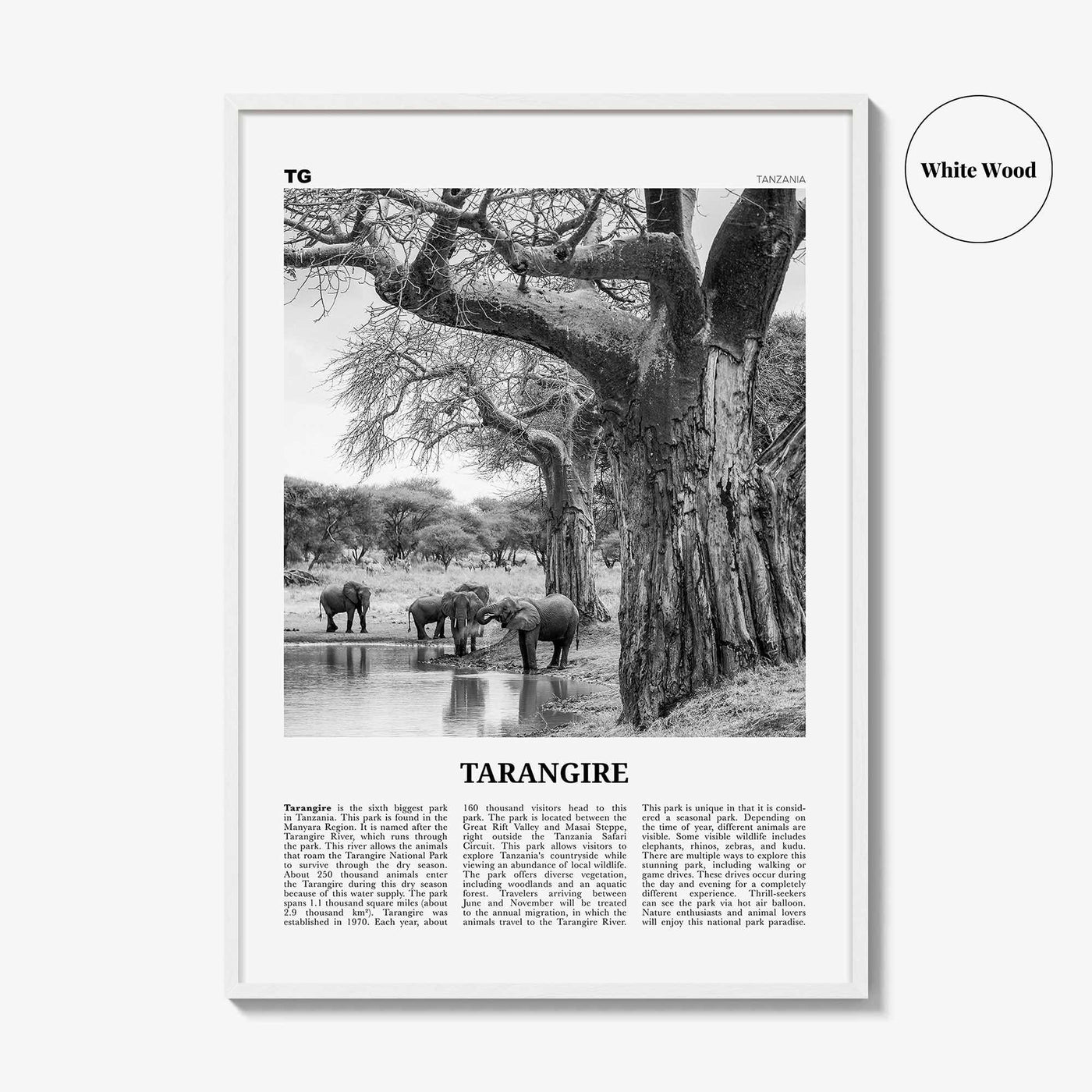 Tarangire National Park Print Black and White, Tarangire Wall Art, Tarangire Poster, Tarangire Photo, Tarangire Wall Décor, Tanzania