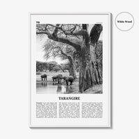 Tarangire National Park Print Black and White, Tarangire Wall Art, Tarangire Poster, Tarangire Photo, Tarangire Wall Décor, Tanzania