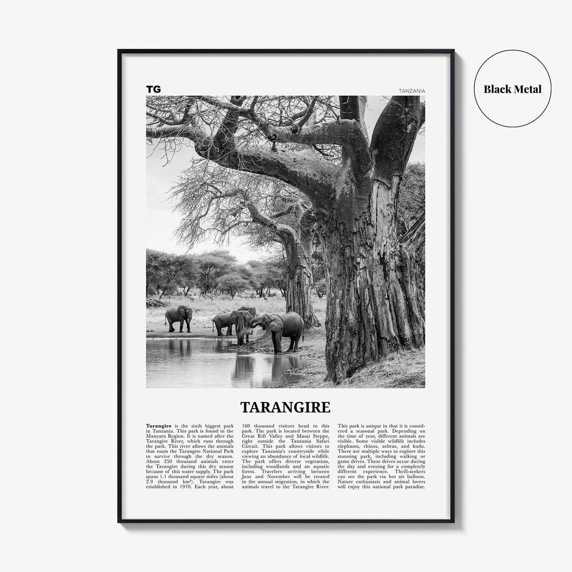 Tarangire National Park Print Black and White, Tarangire Wall Art, Tarangire Poster, Tarangire Photo, Tarangire Wall Décor, Tanzania