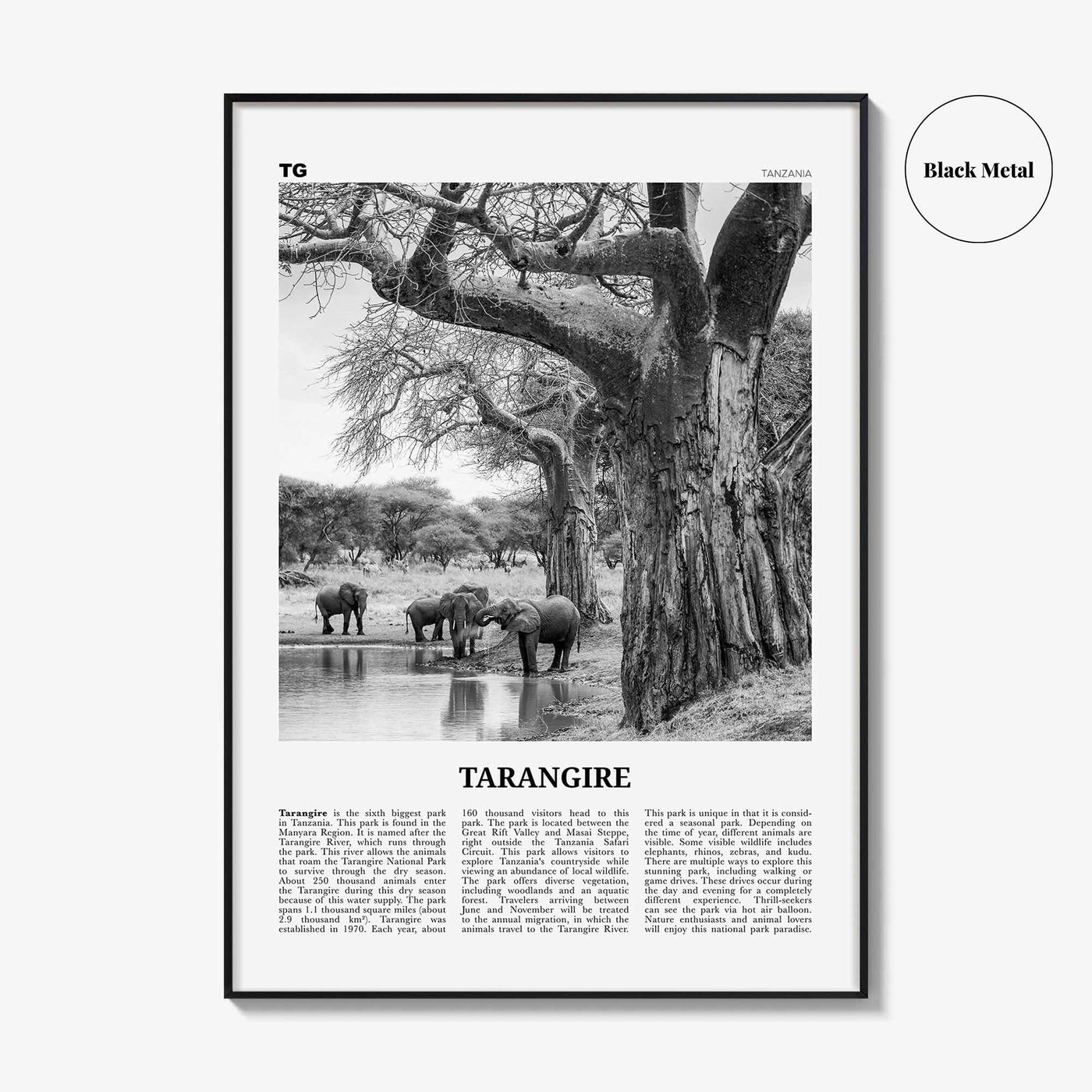 Tarangire National Park Print Black and White, Tarangire Wall Art, Tarangire Poster, Tarangire Photo, Tarangire Wall Décor, Tanzania