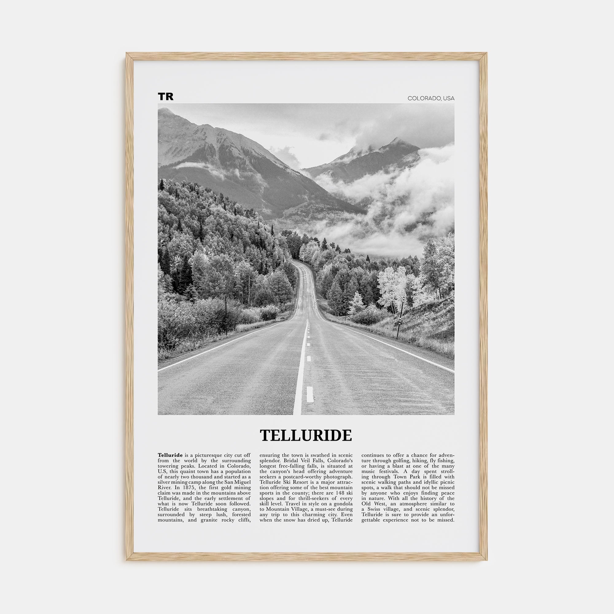Telluride Travel B&W No 2 Poster
