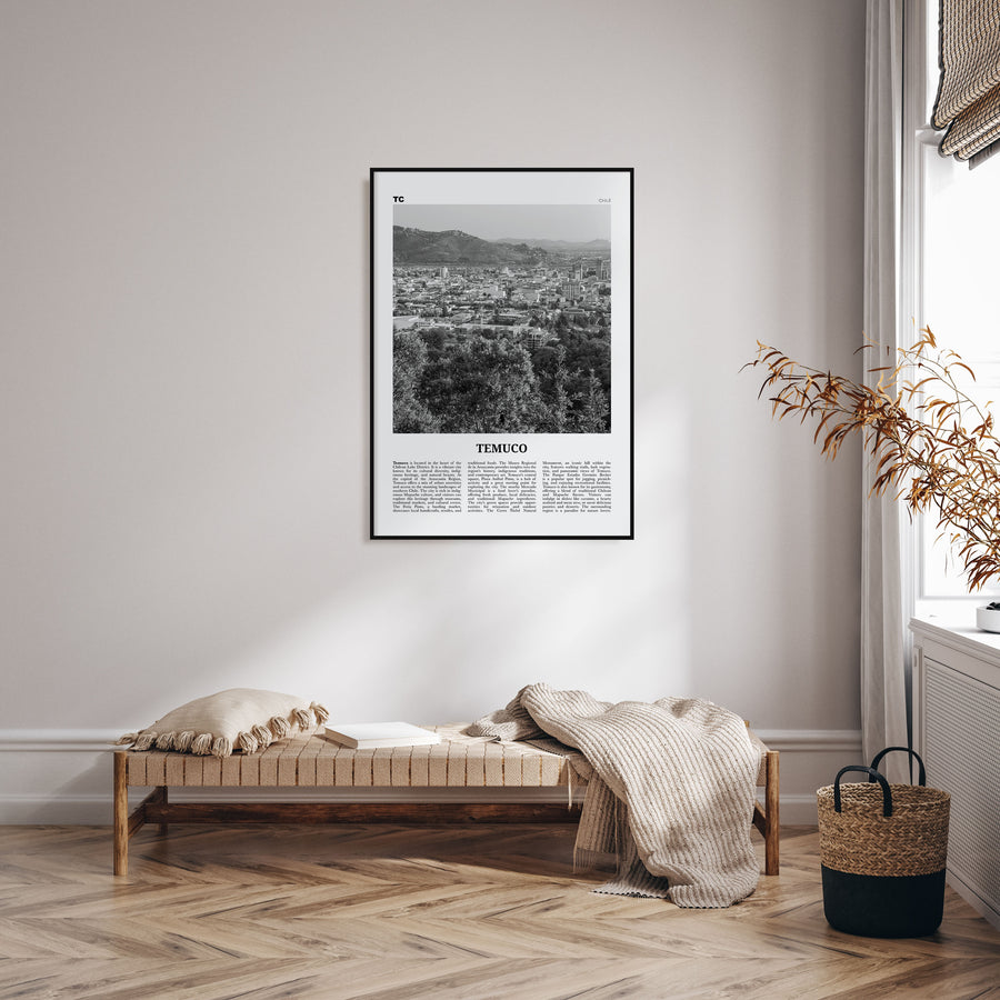 Temuco Travel B&W Poster