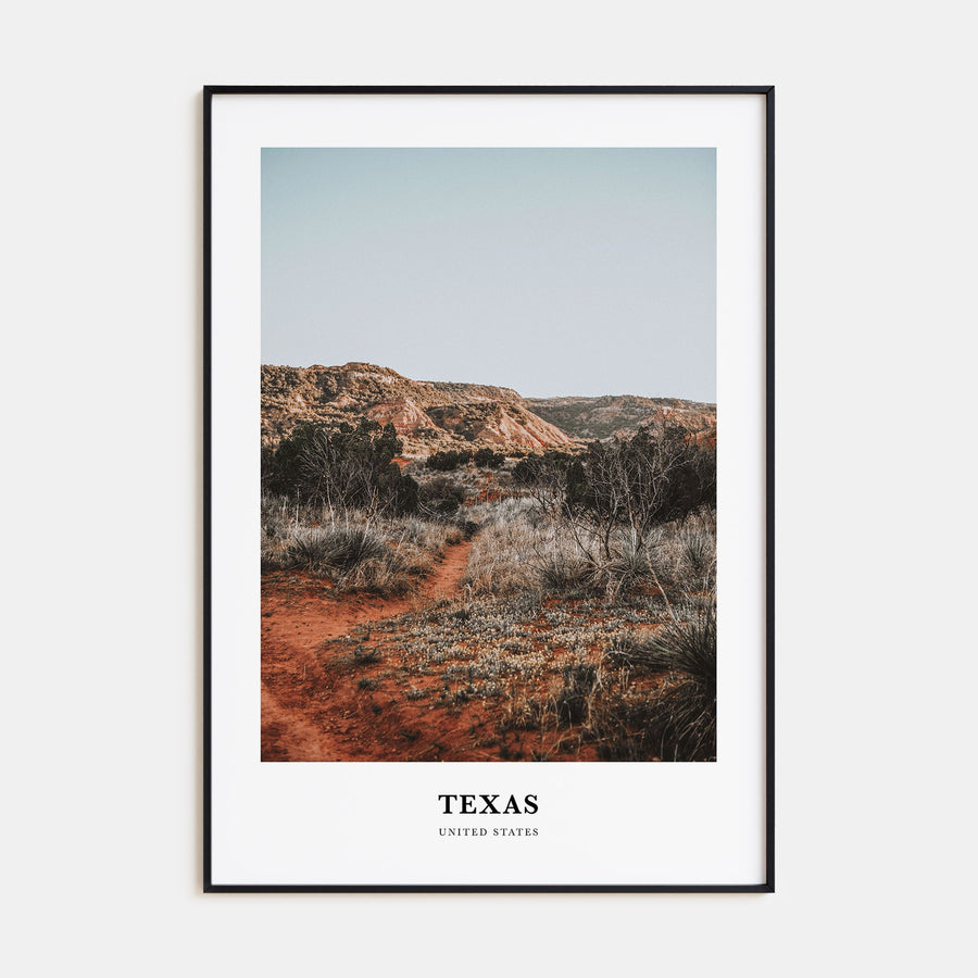 Texas Portrait Color No 1 Poster