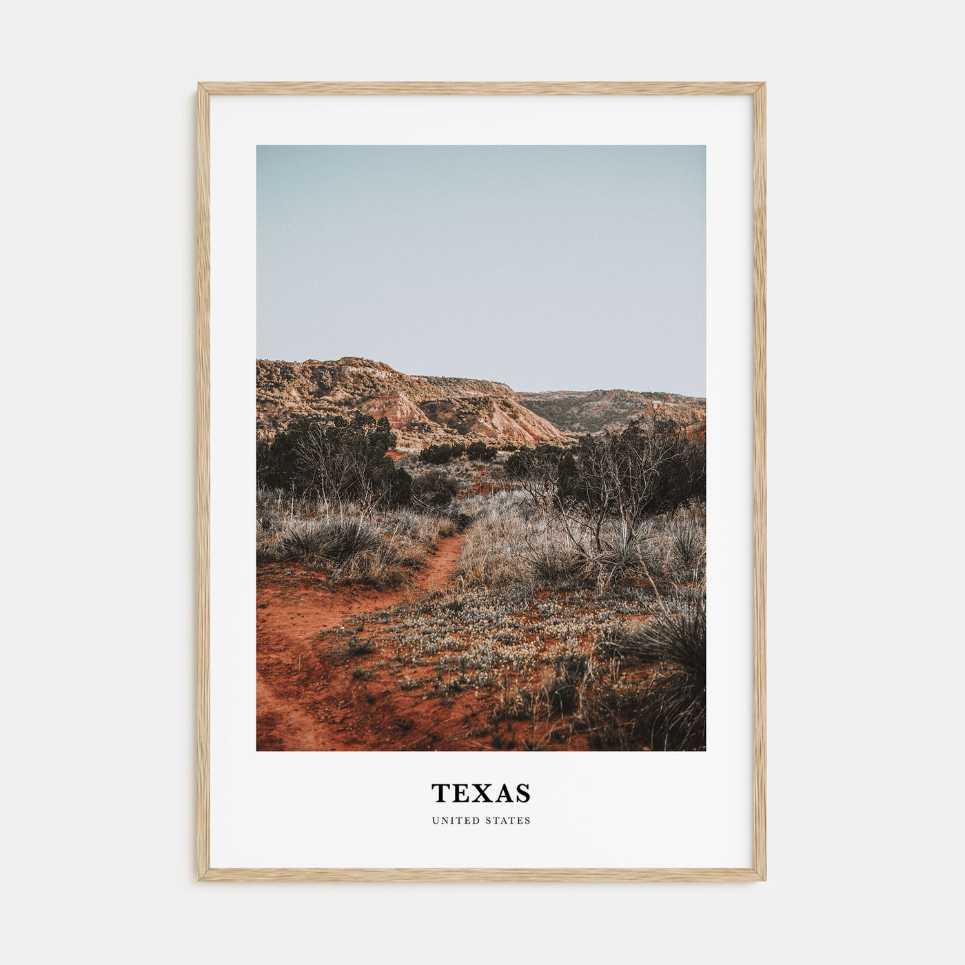 Texas Portrait Color No 1 Poster