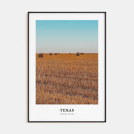 Texas Portrait Color No 2 Poster