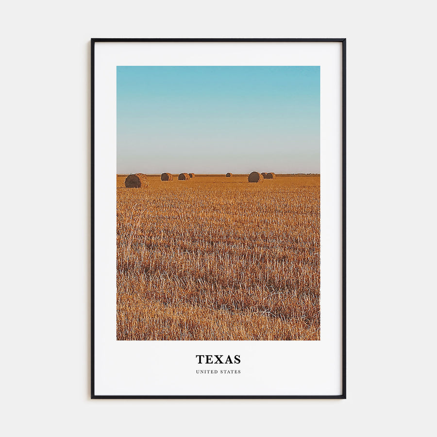 Texas Portrait Color No 2 Poster