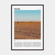 Texas Travel Color No 2 Poster