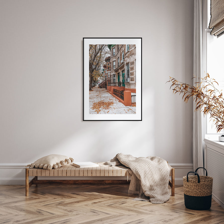 The Bronx Photo Color No 3 Poster