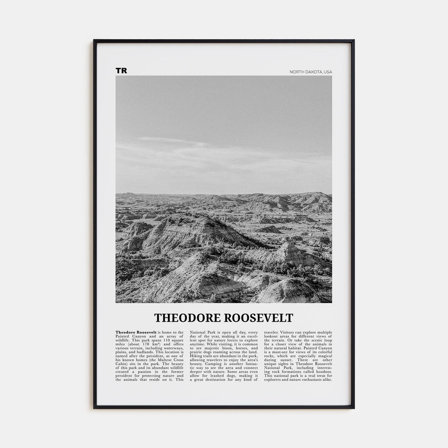 Theodore Roosevelt National Park Travel B&W Poster