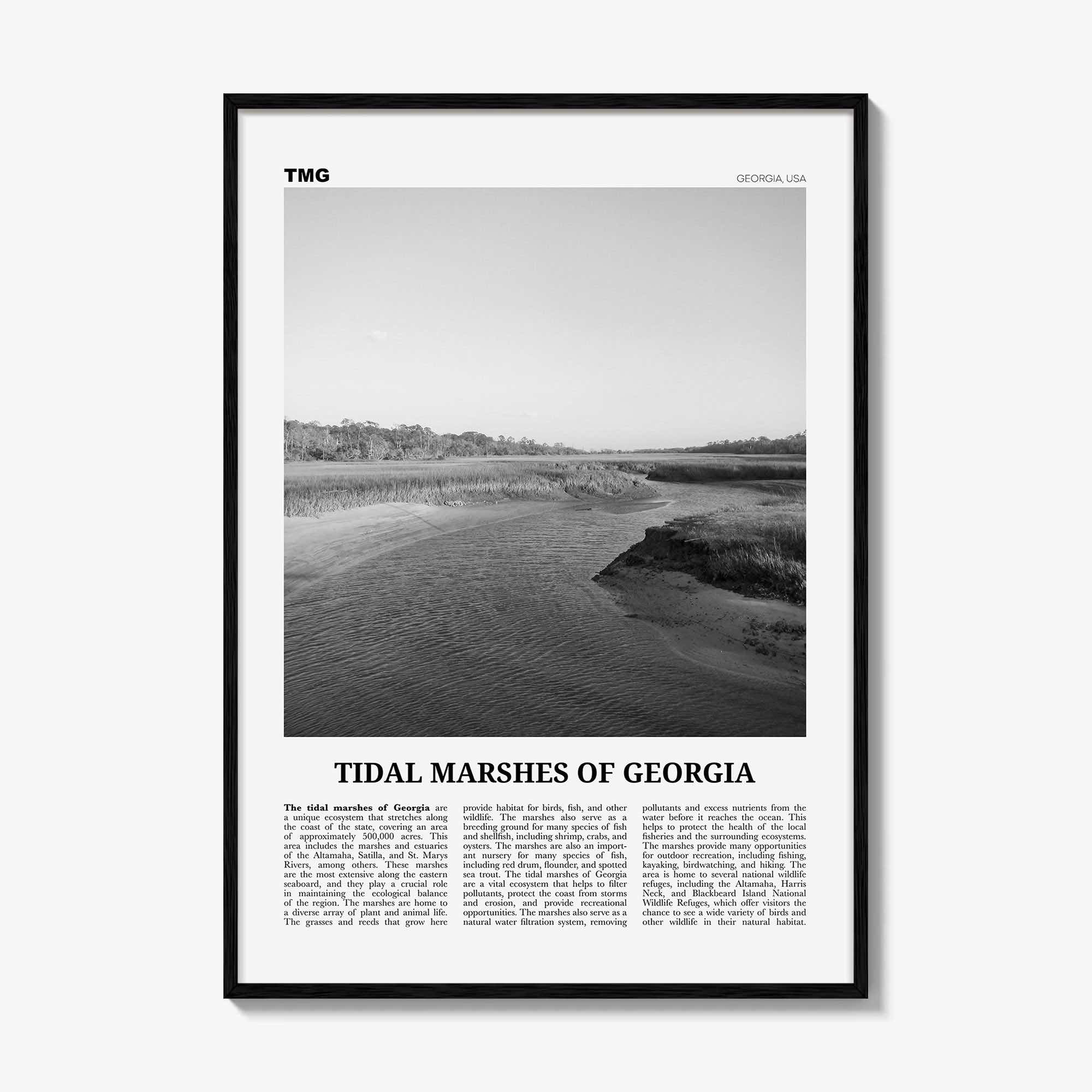 Tidal Marshes Of Georgia Print Black and White, Tidal Marshes Wall Art, Tidal Poster, Photo, Tidal Marshes Wall Décor, Tidal Marshes Map
