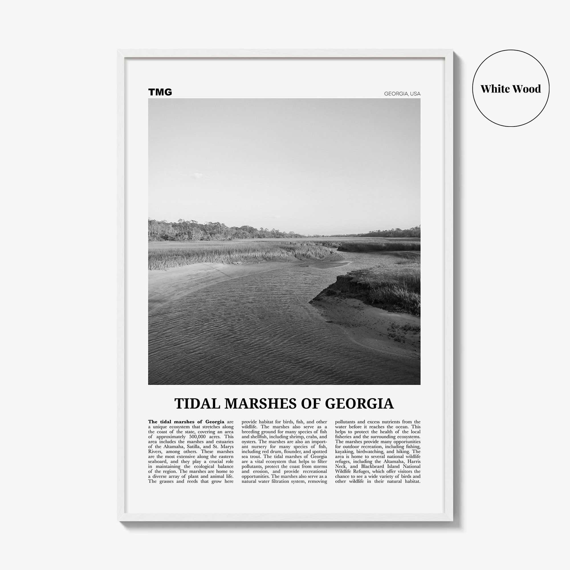 Tidal Marshes Of Georgia Print Black and White, Tidal Marshes Wall Art, Tidal Poster, Photo, Tidal Marshes Wall Décor, Tidal Marshes Map