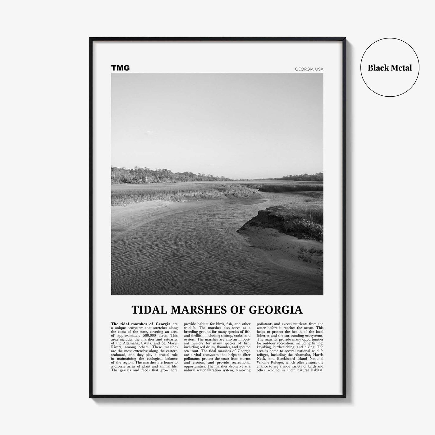 Tidal Marshes Of Georgia Print Black and White, Tidal Marshes Wall Art, Tidal Poster, Photo, Tidal Marshes Wall Décor, Tidal Marshes Map