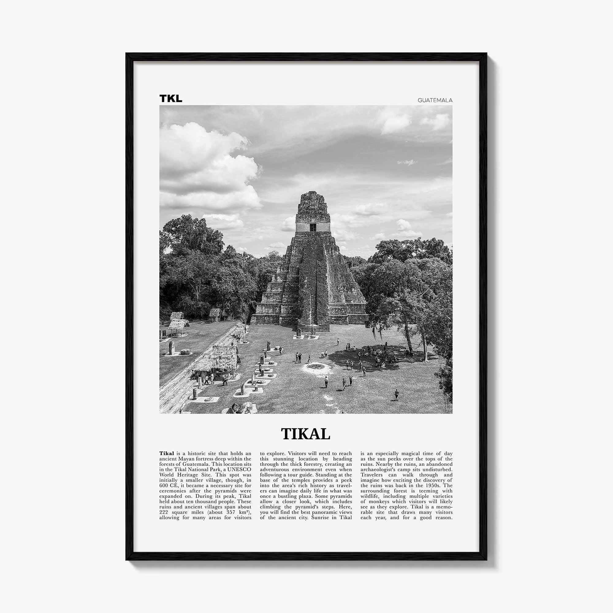 Tikal Print Black and White, Tikal Wall Art, Tikal Poster, Tikal Photo, Tikal Wall Décor, Guatemala