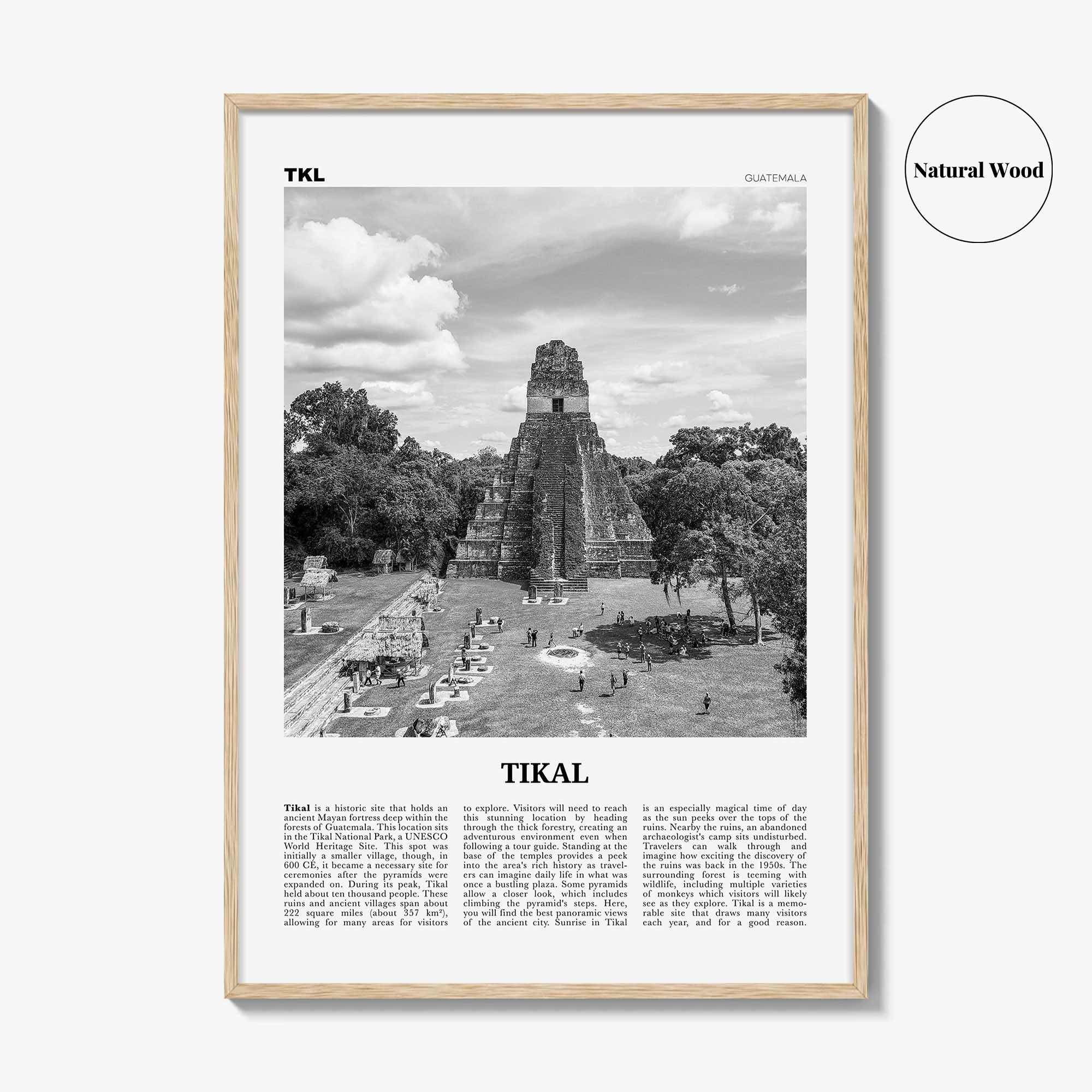Tikal Print Black and White, Tikal Wall Art, Tikal Poster, Tikal Photo, Tikal Wall Décor, Guatemala
