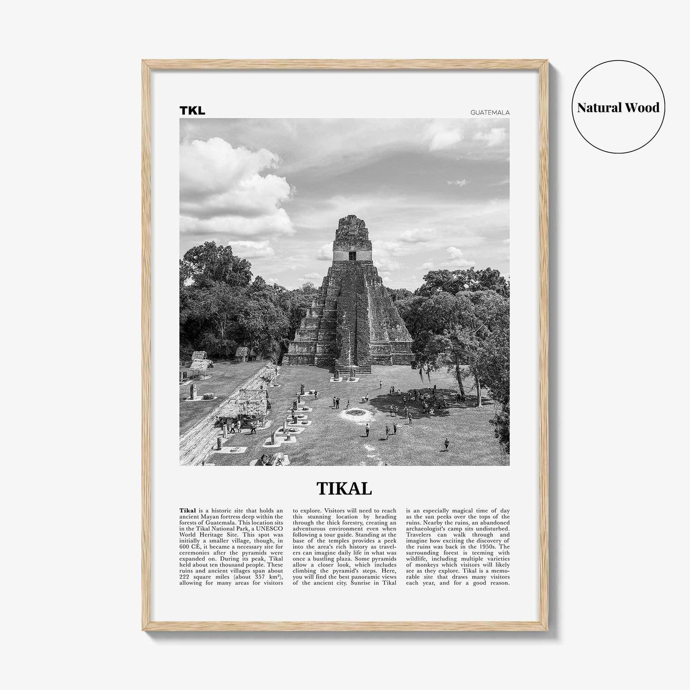 Tikal Print Black and White, Tikal Wall Art, Tikal Poster, Tikal Photo, Tikal Wall Décor, Guatemala