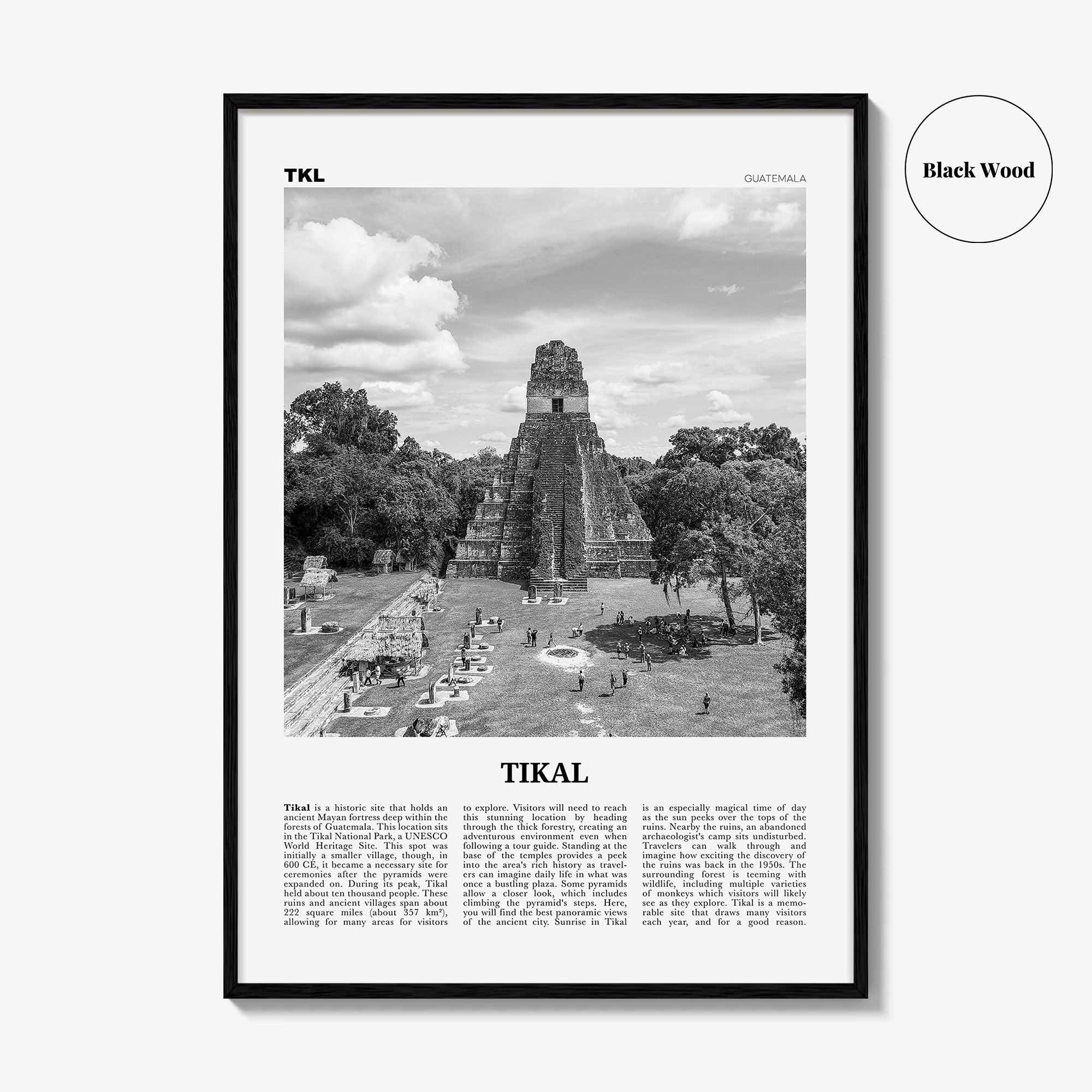 Tikal Print Black and White, Tikal Wall Art, Tikal Poster, Tikal Photo, Tikal Wall Décor, Guatemala