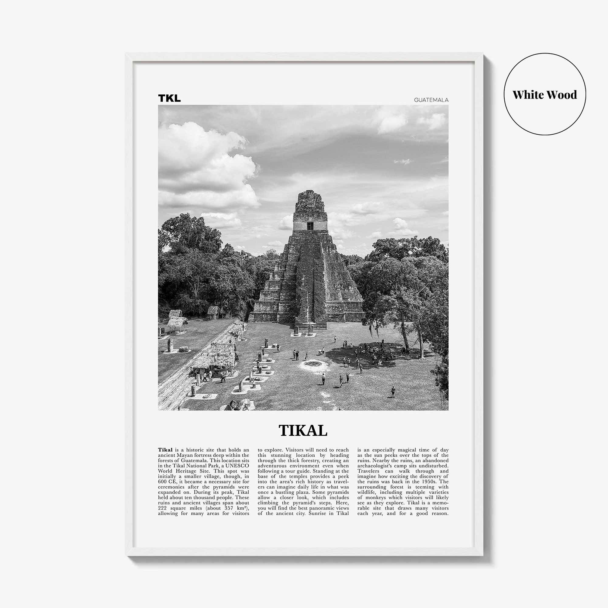 Tikal Print Black and White, Tikal Wall Art, Tikal Poster, Tikal Photo, Tikal Wall Décor, Guatemala