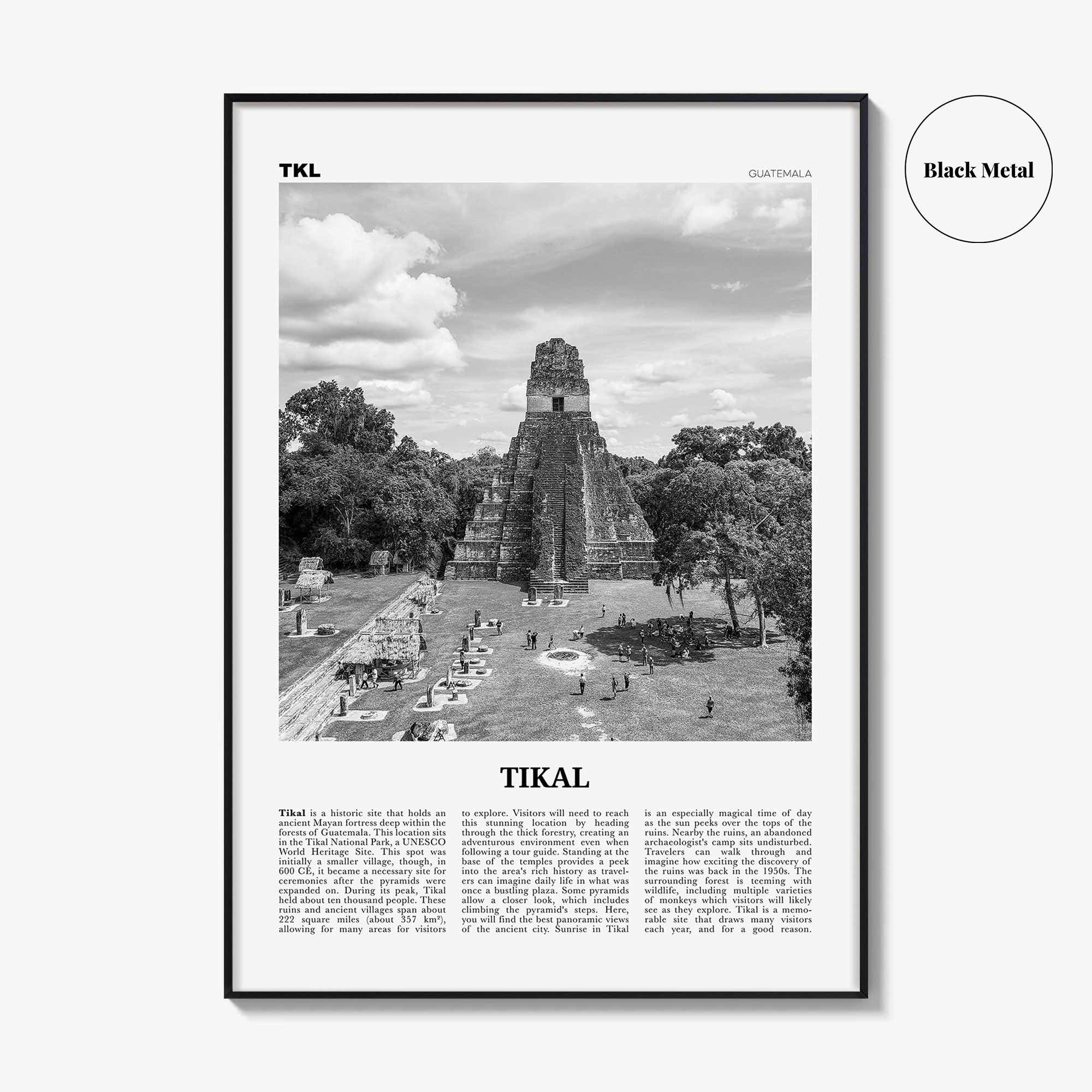 Tikal Print Black and White, Tikal Wall Art, Tikal Poster, Tikal Photo, Tikal Wall Décor, Guatemala