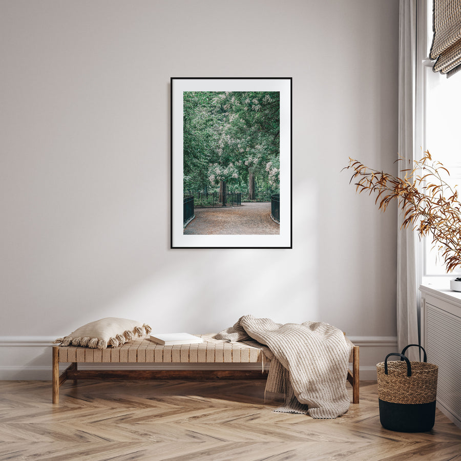 Tompkins Square Park Photo Color Poster