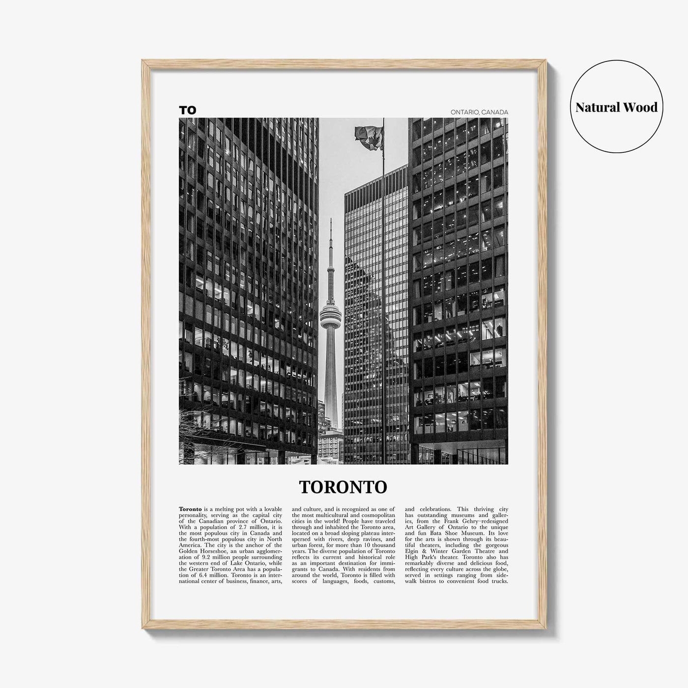 Toronto Print Black and White No 5, Toronto Wall Art, Toronto Poster, Toronto Photo, Toronto Wall Decor, Ontario, Canada, North America