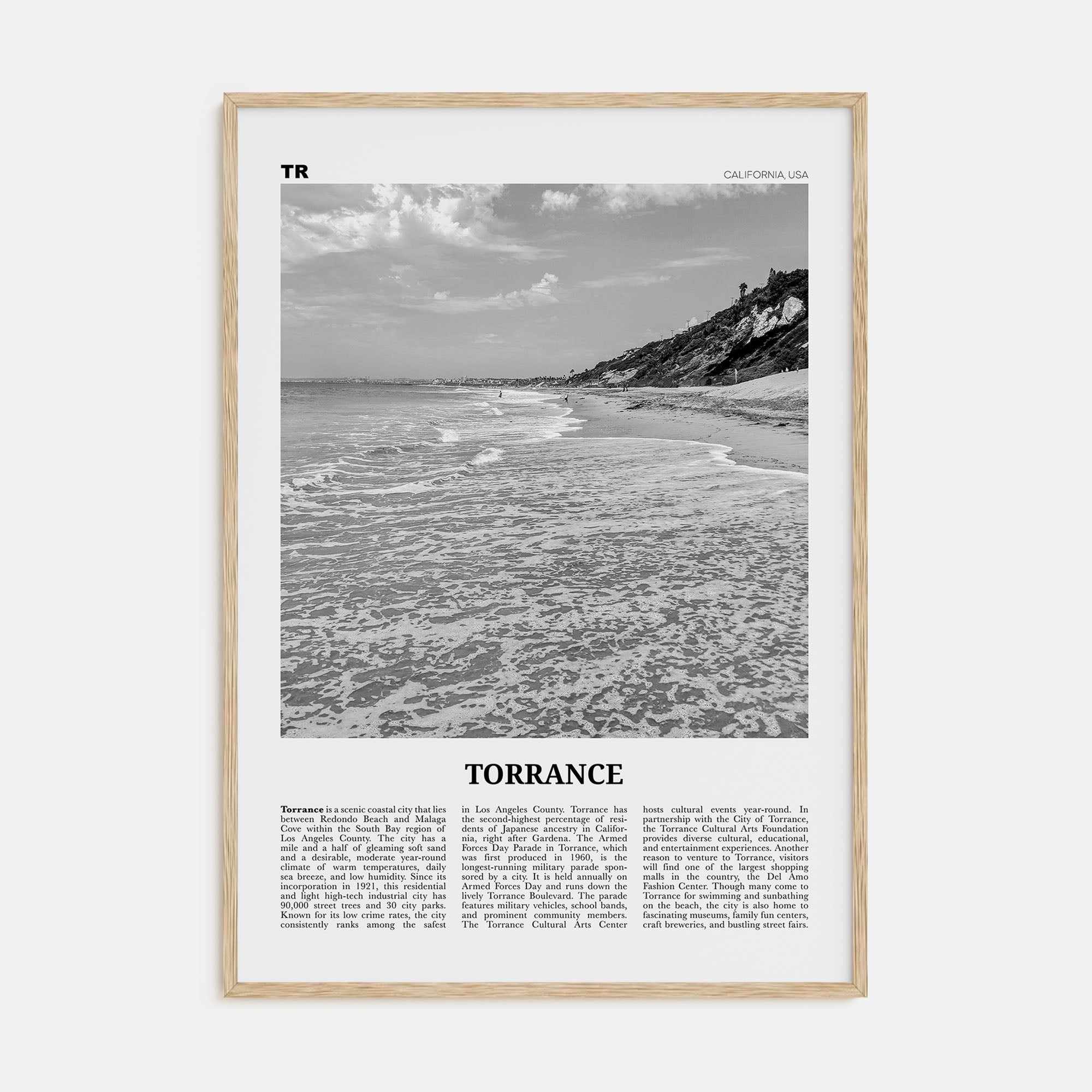 Torrance Travel B&W Poster