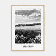 Torrey Pines Portrait B&W No 1 Poster