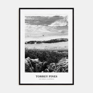 Torrey Pines Portrait B&W No 1 Poster