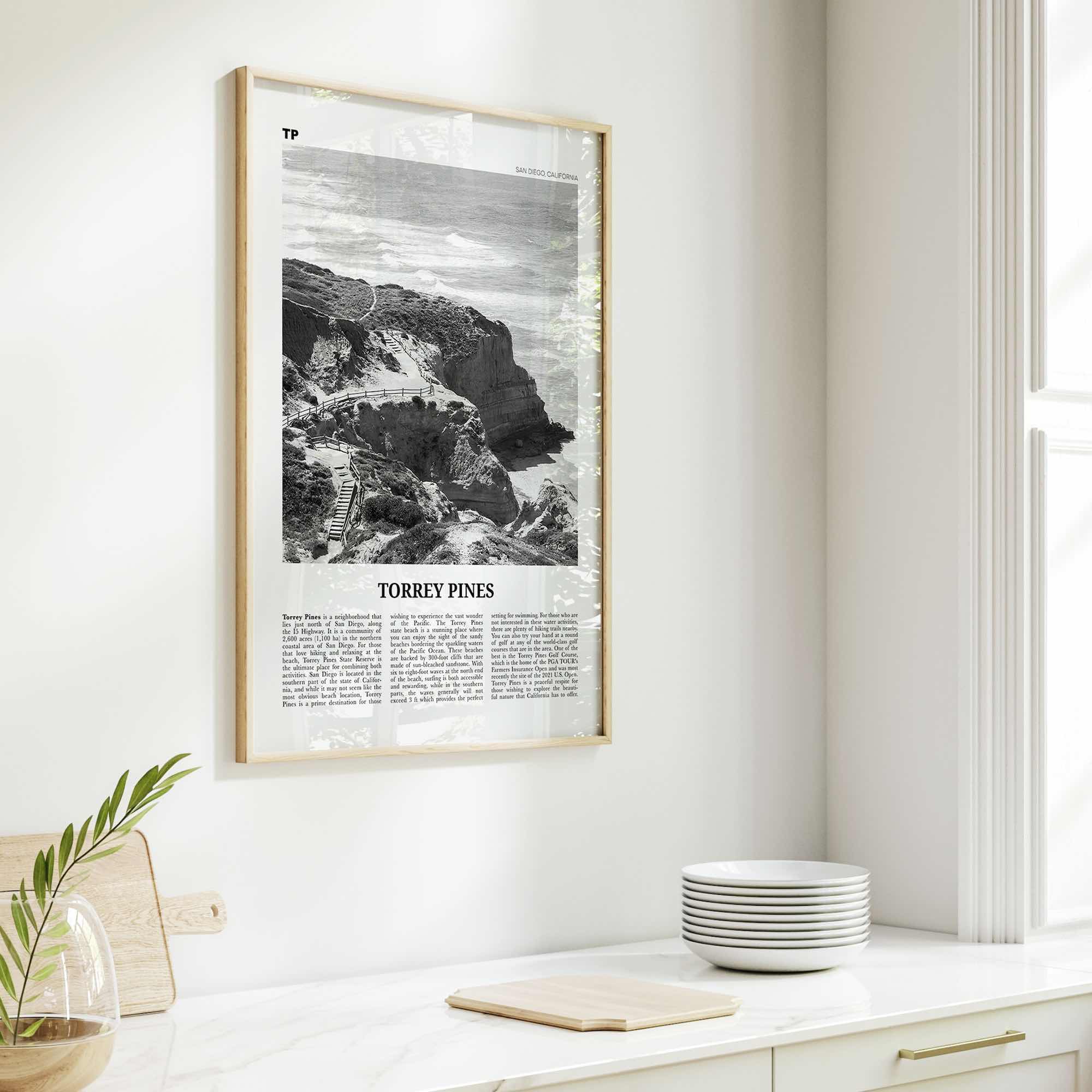 Torrey Pines Print Black and White No 1, Torrey Pines Wall Art, Torrey Pines Beach Poster, Torrey Pines Photo, San Diego, California