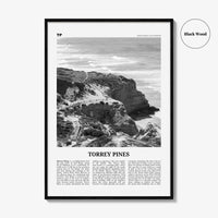 Torrey Pines Print Black and White No 1, Torrey Pines Wall Art, Torrey Pines Beach Poster, Torrey Pines Photo, San Diego, California