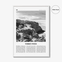 Torrey Pines Print Black and White No 1, Torrey Pines Wall Art, Torrey Pines Beach Poster, Torrey Pines Photo, San Diego, California