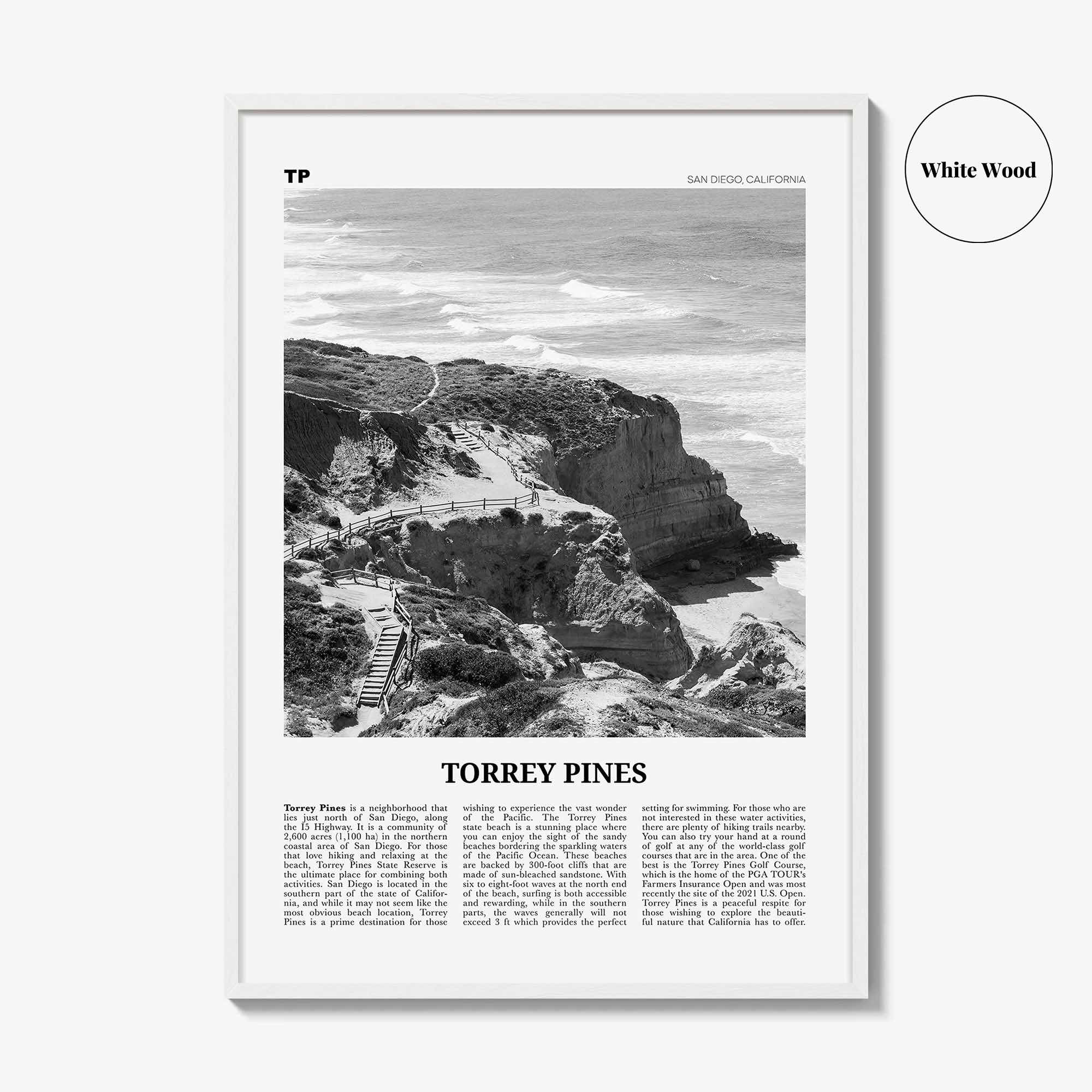 Torrey Pines Print Black and White No 1, Torrey Pines Wall Art, Torrey Pines Beach Poster, Torrey Pines Photo, San Diego, California