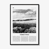 Torrey Pines Print Black and White No 2, Torrey Pines Wall Art, Torrey Pines Beach Poster, Torrey Pines Photo, San Diego, California