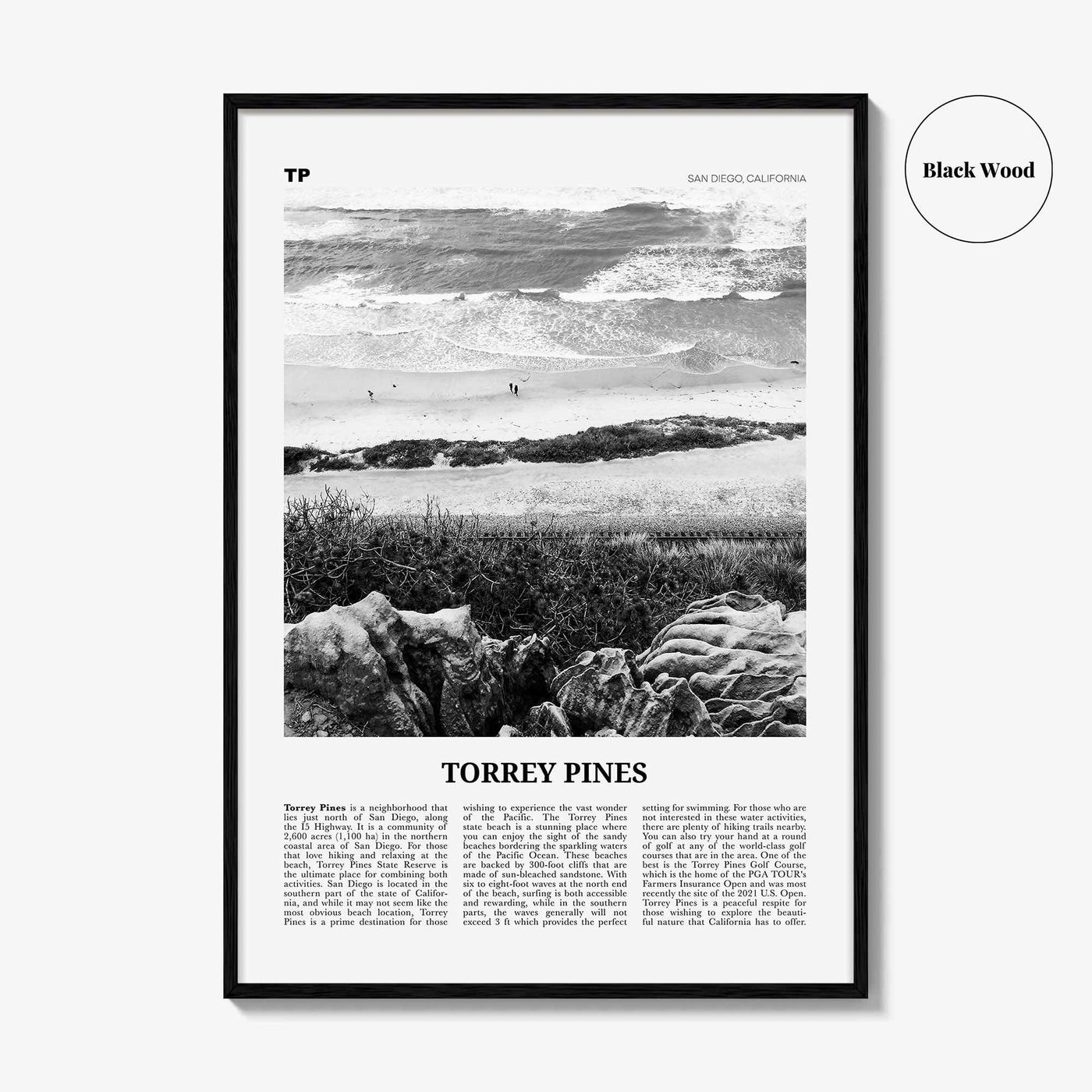 Torrey Pines Print Black and White No 2, Torrey Pines Wall Art, Torrey Pines Beach Poster, Torrey Pines Photo, San Diego, California