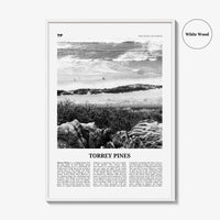 Torrey Pines Print Black and White No 2, Torrey Pines Wall Art, Torrey Pines Beach Poster, Torrey Pines Photo, San Diego, California