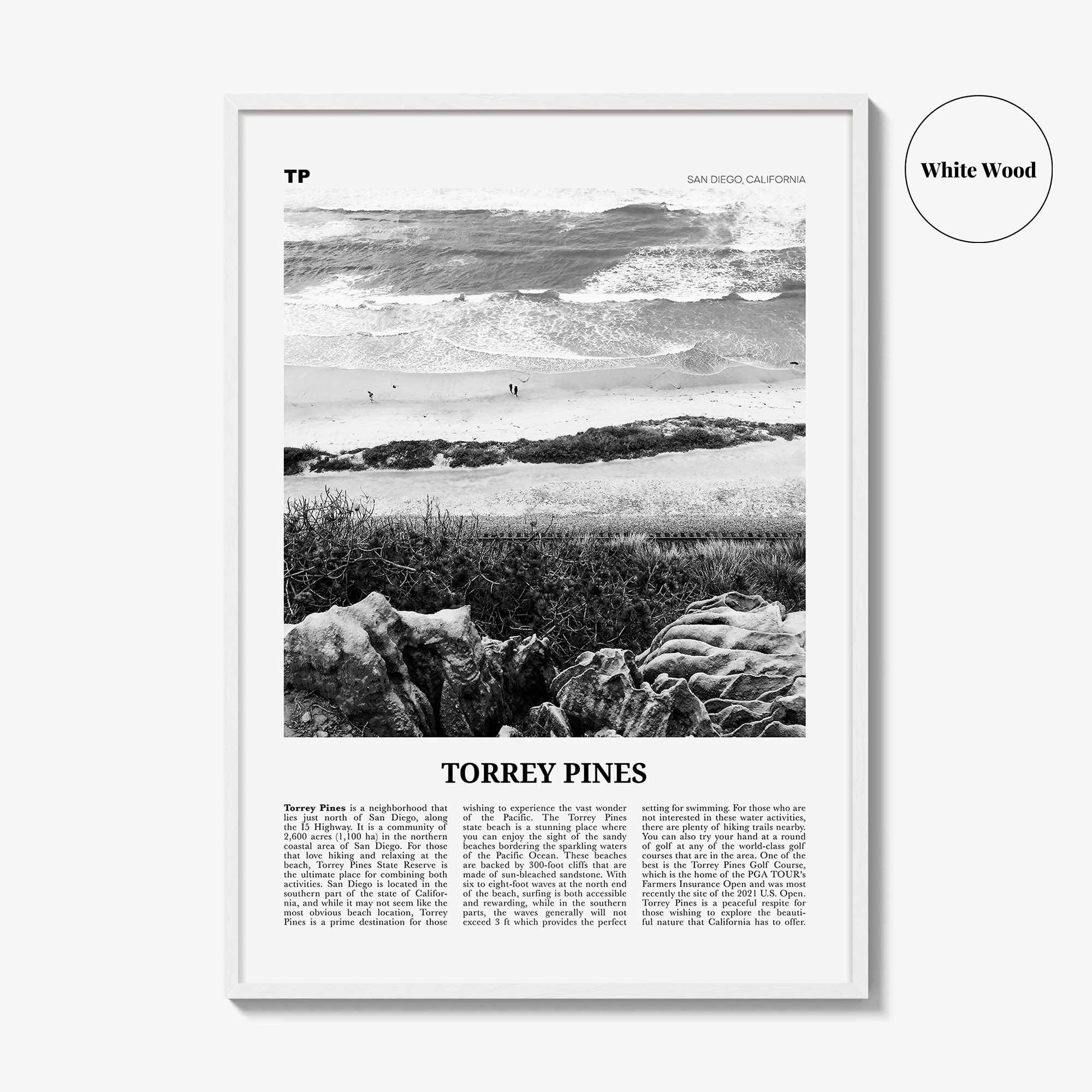 Torrey Pines Print Black and White No 2, Torrey Pines Wall Art, Torrey Pines Beach Poster, Torrey Pines Photo, San Diego, California