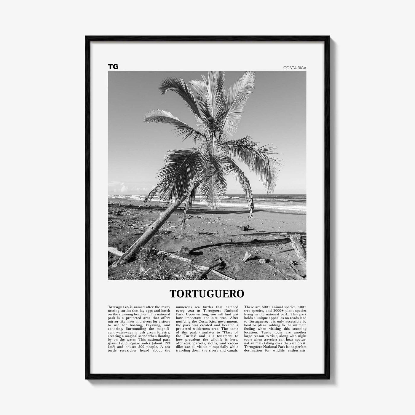 Tortuguero Print Black and White, Tortuguero Wall Art, Tortuguero Poster, Tortuguero Photo, Tortuguero Wall Décor, Costa Rica