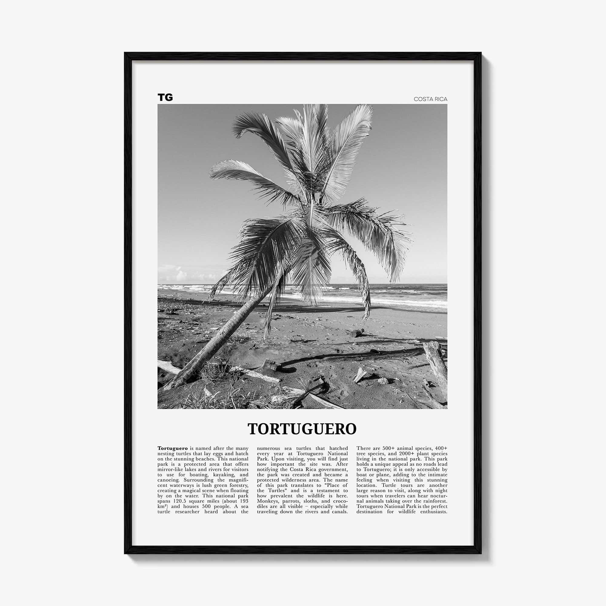 Tortuguero Print Black and White, Tortuguero Wall Art, Tortuguero Poster, Tortuguero Photo, Tortuguero Wall Décor, Costa Rica
