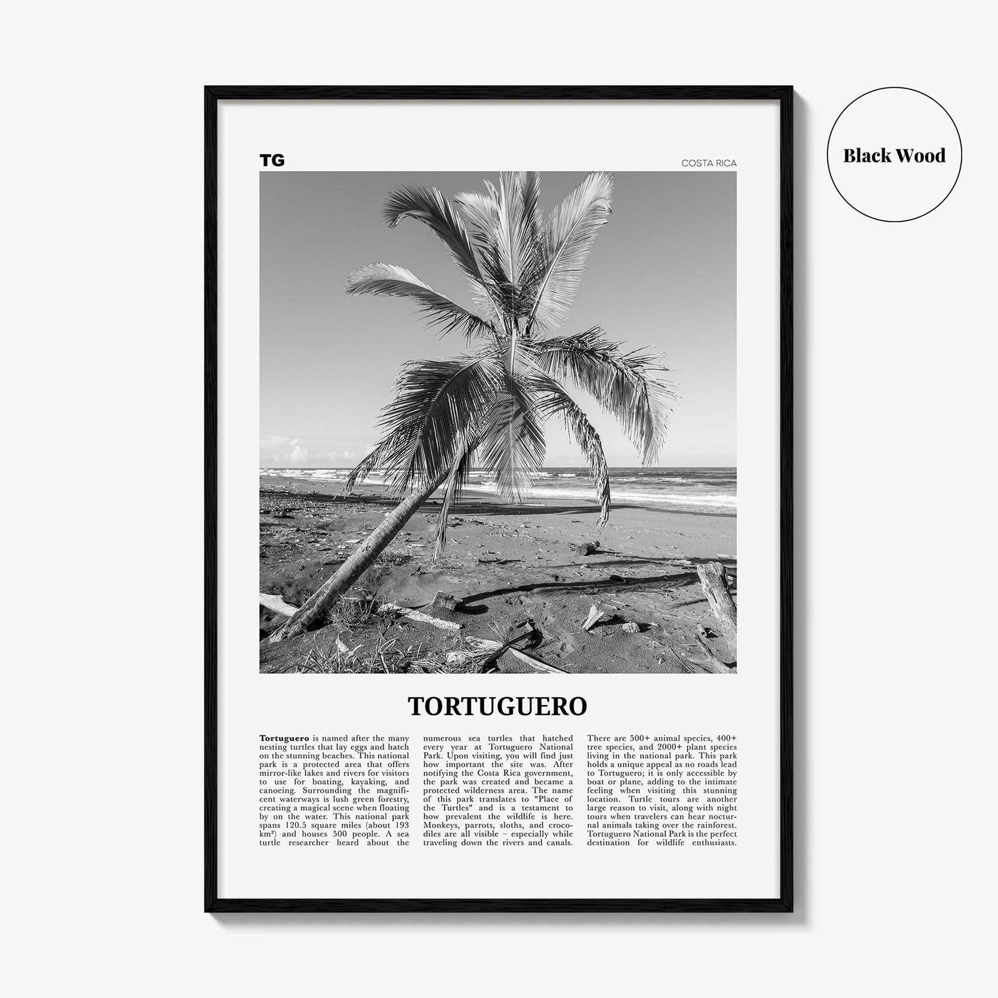Tortuguero Print Black and White, Tortuguero Wall Art, Tortuguero Poster, Tortuguero Photo, Tortuguero Wall Décor, Costa Rica